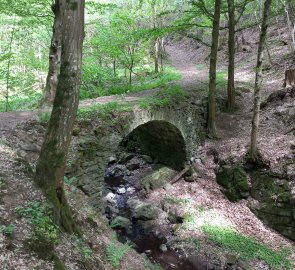 Bridge in the woods a short distance uphill