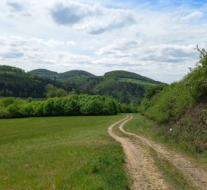 Road to the Vltava River