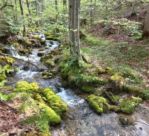 Preintal - stream at the beginning of the route