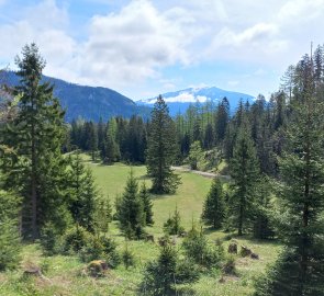 Bärenboden, Schneeberg in the background