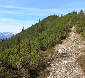 Oischingkogel (Falscher Kogel)