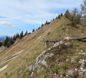 Mittlerer Zellerhut