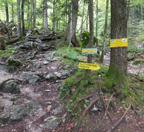 Vlevo turistický Hirschsteig, vpravo odpočka na ferratu (Klettersteig)