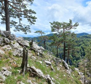 Zakry booivice on the ridge