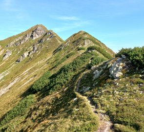 Ridge to Mödringkogel