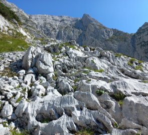 Beautiful scrape landscape