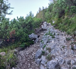 Continuing on the trail - lots of rocks