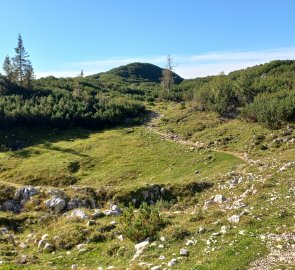 Louka pod vrcholem Trisselwandu