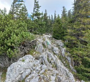 Over small rockeries