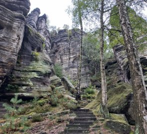 Branch to Schwedenhöhle