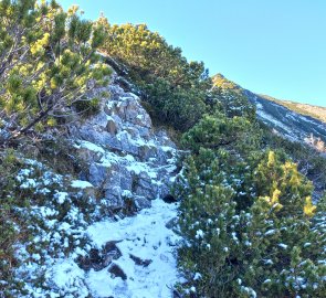 Occasionally a rock garden sprinkled with a dusting of snow