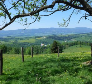 Na louce u rozcestníku Přední Alojzov, výhledy na Brannou a Králický Sněžník