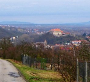 Pohled na Dolní Kounice ze severu - zleva Antoníček, klášter Rosa Coeli, zámek, synagoga