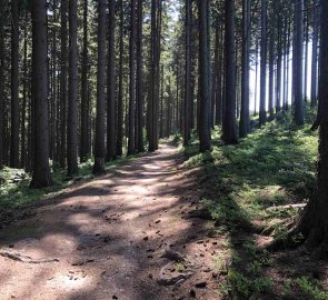 On the way from the source of the Bečva River to the Makov Pass