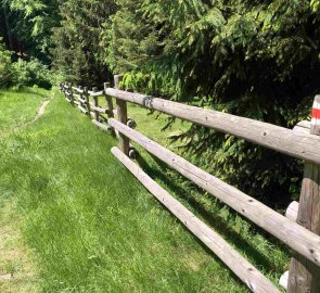 After the border in the Kysuce Protected Landscape Area, still on the red trail to the south