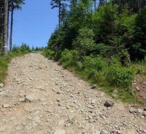 Kamenitá cesta na vrchol Lysé hory 1 323 m n. m.