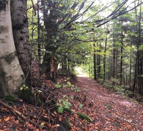 Turning to the blue hiking trail that leads to Velké Karlovice