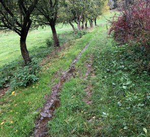 I follow the blue tourist trail down to Velké Karlovice