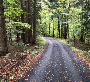 I follow the blue tourist trail down to Velké Karlovice