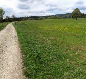 Day 3 - Modrava > Strážné - The road from Bučina towards Strážné on the red road is so beautiful