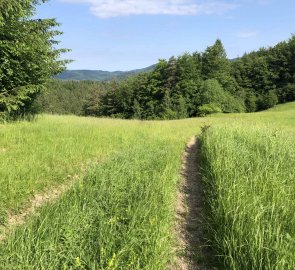 Follow the green trail down to Halenkov