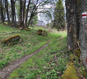 Day 3 - Modrava > Strážné - The road from Bučina towards Strážné on the red road is so beautiful