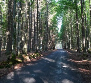 Asfaltová cesta kousek za parkovištěm v obci Jelení vrchy