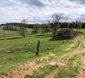 Day 3 - Modrava > Strážné - Cleared trees near the red marker