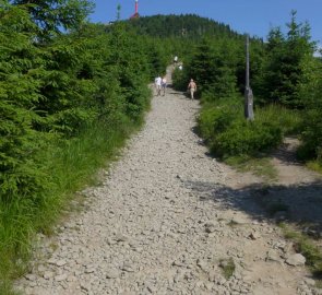 Kousek pod vrcholem Lysé hory na červené značce