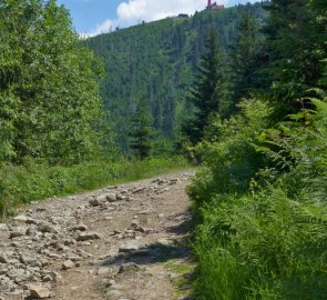 Kamenitá cesta na vrchol Lysé hory 1 323 m n. m.