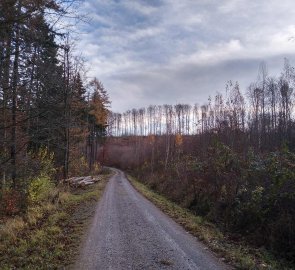 Cesta z rozhledny k Malé Macoše