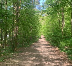 Arrival to Podlesí, just behind the trees there is a pub