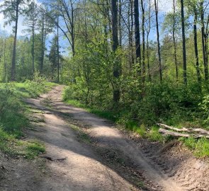 Steeper ascent to the ridge