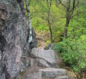 The trail on the stones