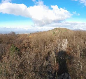 View from the lookout tower