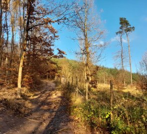 The road to Lelekovice