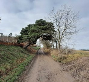 Field road from Vranov