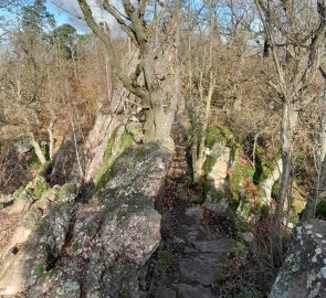 Path to the lookout tower