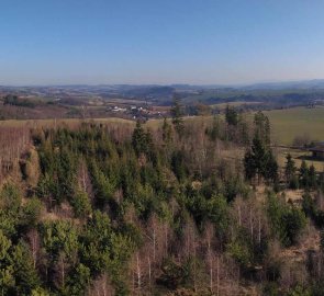 View from the lookout tower to the northeast