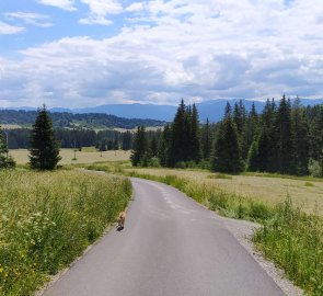 Cesta k parkovišti nabízela výhled na Nízké Tatry