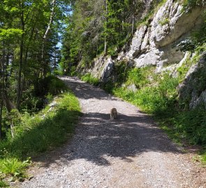 The wide road offered a slight climb