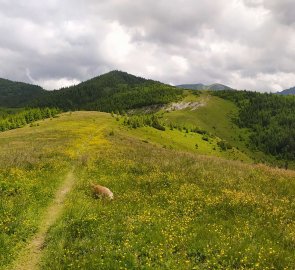 The way from the summit to the saddle