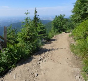 Beskydy - on the way to Lysá hora