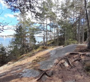 Forest trail to the barbecue area