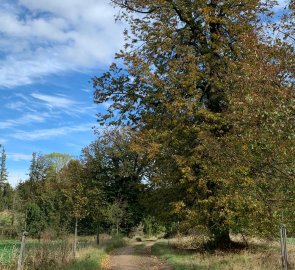 The way back to Obůrka