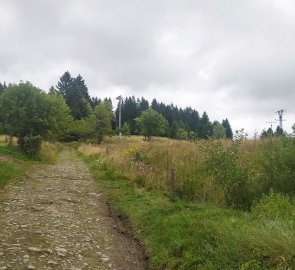 Wide path from Horní Blatná to the Vlčí jámy