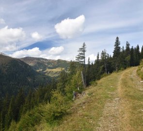 Široká lesní cesta zpět k parkovišti