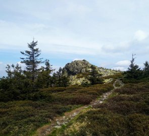 Skála na vrcholu hory Pecný 1 330 m n.m.