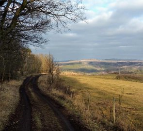 Cesta k rozhledně Bučina