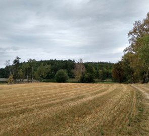 Cesta kolem Panského rybníka